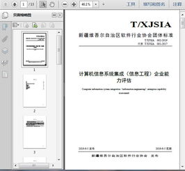 計算機(jī)信息系統(tǒng)集成服務(wù)及其企業(yè)能力評估